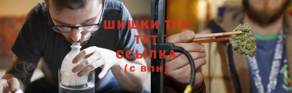mix Ельня