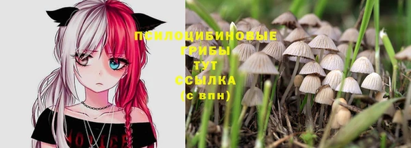 кокаин премиум Заволжье